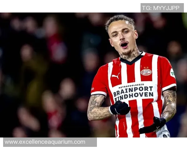 2023年法国足球球星表现综述及未来发展潜力分析