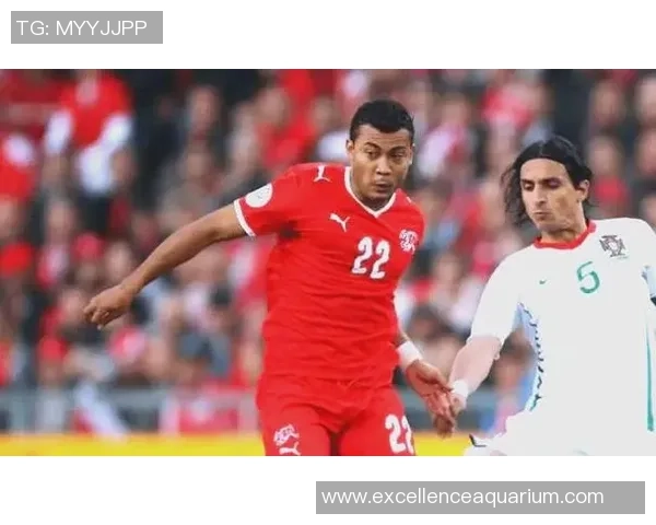 足球赛场最遗憾球星盘点那些错失巅峰的天才球员