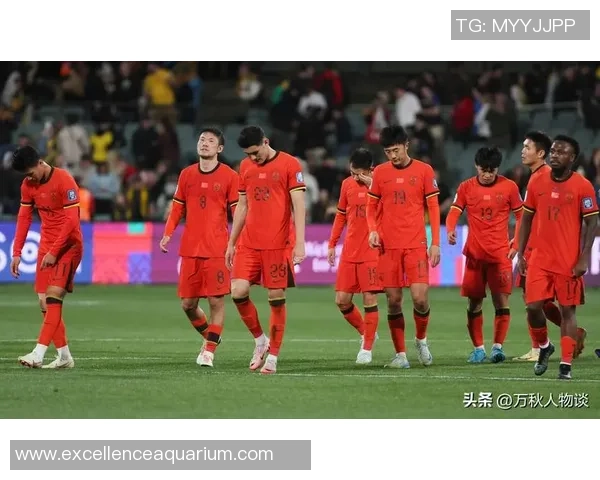 各大球星评价中国足球队员实力和潜力全面解读