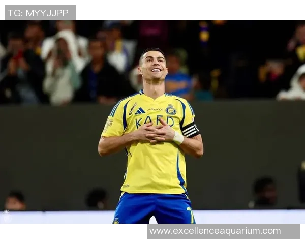 左撇子足球巨星们的独特魅力与赛场风采解析