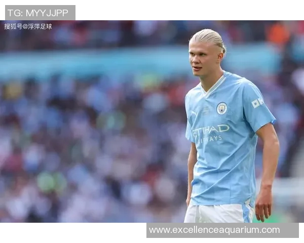 美黑球星的崛起与挑战 足球场上超越肤色的辉煌传奇