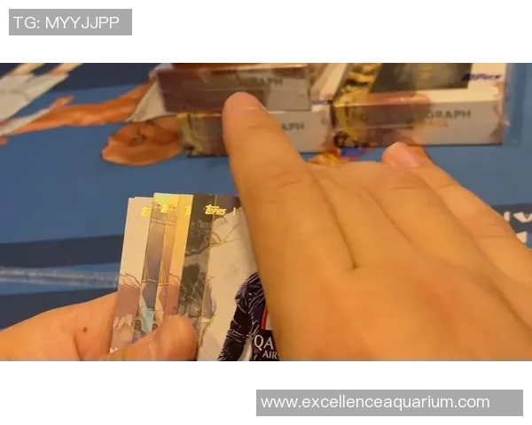 盗梦球星卡足球一盒原价多少揭示收藏价值与市场趋势