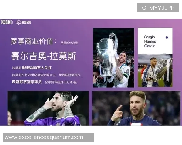 世界足球中场球星最新排名与分析：顶级球员的风采与影响力解析