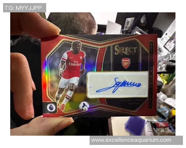 菲利克斯成帕尼尼足球卡新星代表引领收藏潮流