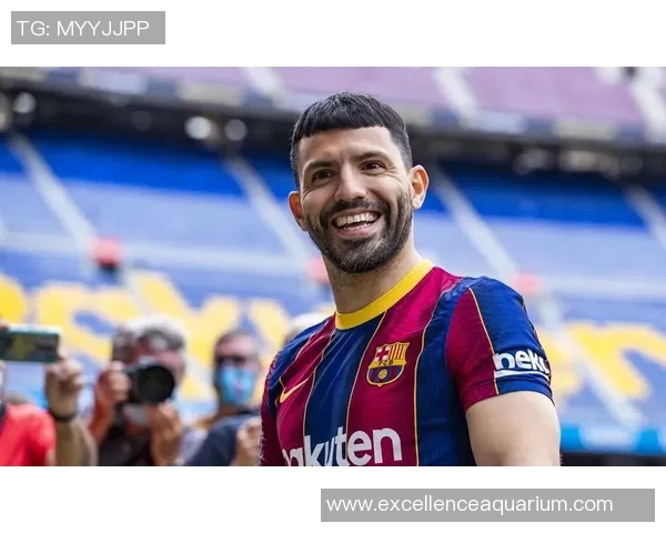 退役足球球星的年龄变迁与传奇人生：从黄金岁月到退场后的新挑战