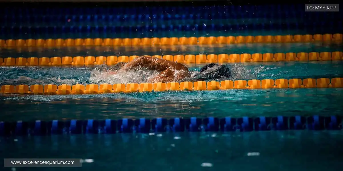 🎬独家视角，沉浸式体验竞技魅力！